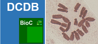 DCDB and chromosome image